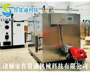 1噸燃?xì)猓ㄓ停┱羝l(fā)生器 現(xiàn)貨供應(yīng)，工廠直銷，規(guī)格型號(hào)眾多，可來電咨詢