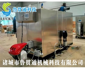 1噸燃?xì)猓ㄓ停┱羝l(fā)生器 現(xiàn)貨供應(yīng)，工廠直銷，規(guī)格型號(hào)眾多，可來電咨詢